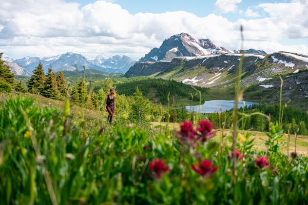 8 of Banff National Park’s best day hikes