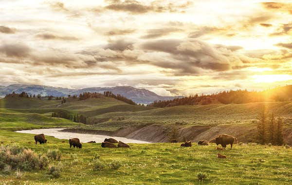 The best day trips from Bozeman: from Big Sky to Yellowstone